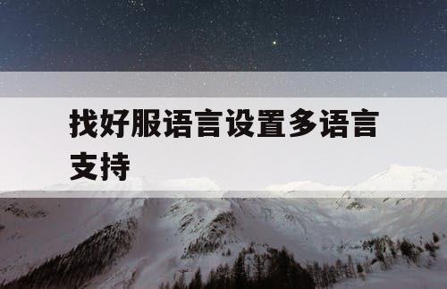 找好服语言设置多语言支持
