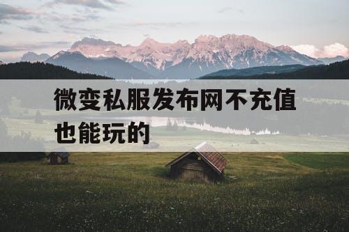 微变私服发布网不充值也能玩的