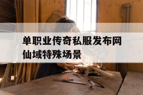 单职业传奇私服发布网仙域特殊场景