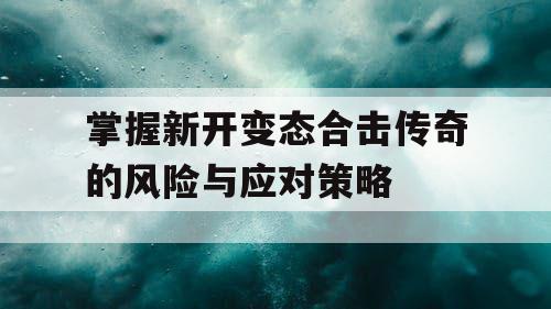 掌握新开变态合击传奇的风险与应对策略