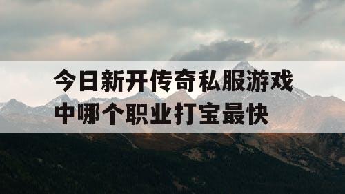 今日新开传奇私服游戏中哪个职业打宝最快