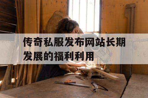 传奇私服发布网站长期发展的福利利用