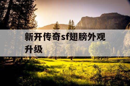 新开传奇sf翅膀外观升级