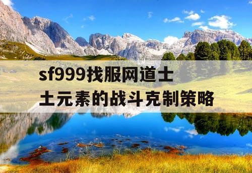 sf999找服网道士土元素的战斗克制策略