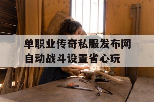 单职业传奇私服发布网自动战斗设置省心玩