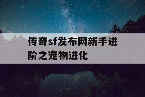 传奇sf发布网新手进阶之宠物进化