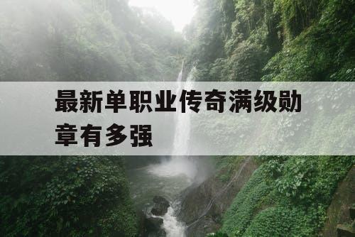 最新单职业传奇满级勋章有多强