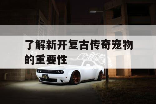 了解新开复古传奇宠物的重要性