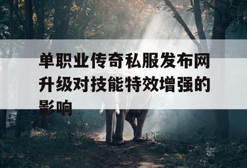 单职业传奇私服发布网升级对技能特效增强的影响