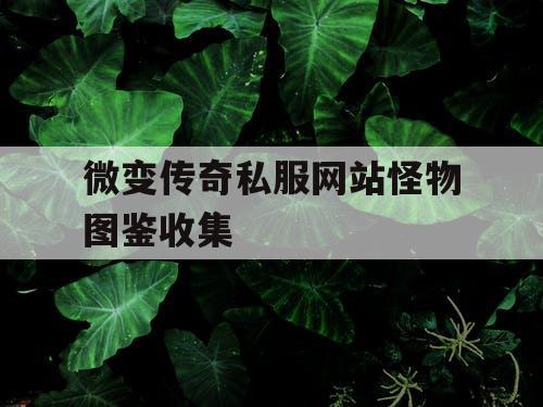 微变传奇私服网站怪物图鉴收集