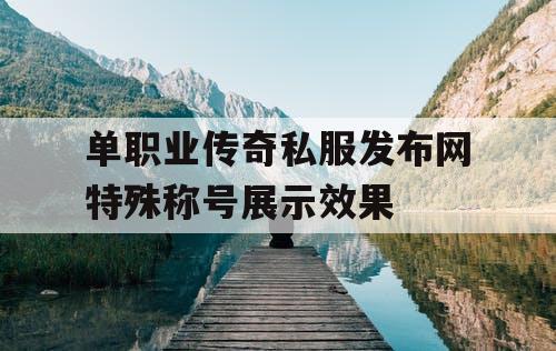 单职业传奇私服发布网特殊称号展示效果