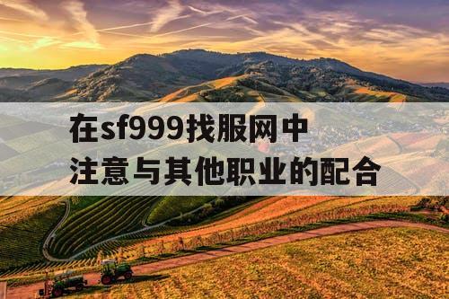 在sf999找服网中注意与其他职业的配合