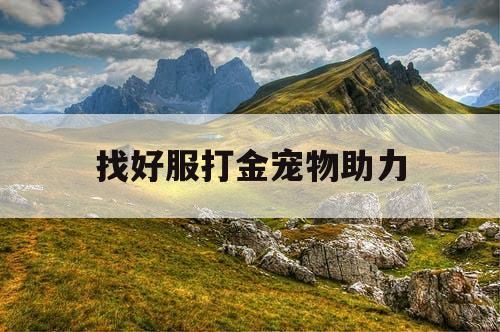 找好服打金宠物助力