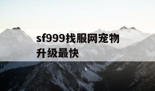 sf999找服网宠物升级最快