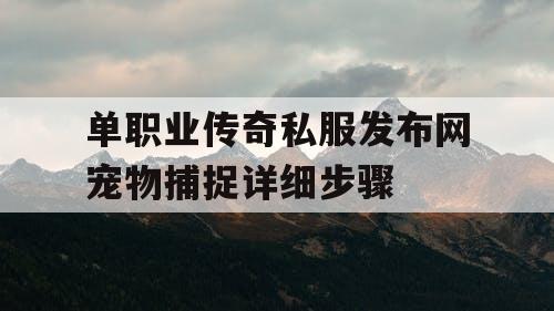 单职业传奇私服发布网宠物捕捉详细步骤