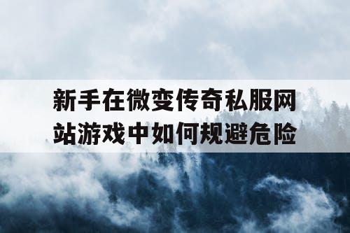 新手在微变传奇私服网站游戏中如何规避危险