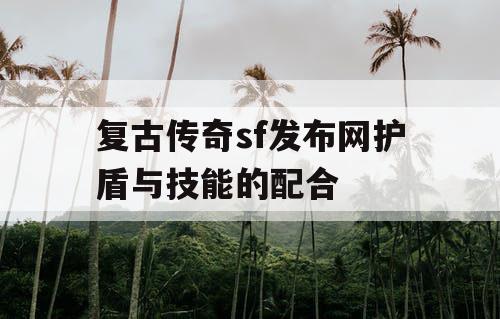 复古传奇sf发布网护盾与技能的配合