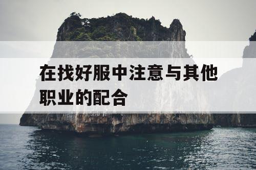 在找好服中注意与其他职业的配合