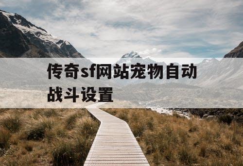 传奇sf网站宠物自动战斗设置