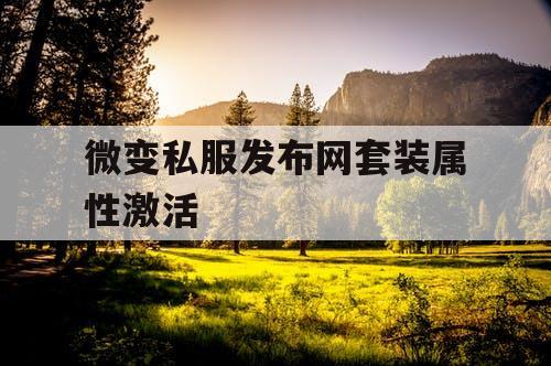 微变私服发布网套装属性激活