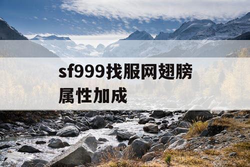 sf999找服网翅膀属性加成