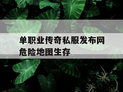 单职业传奇私服发布网危险地图生存