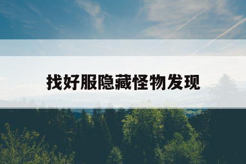 找好服隐藏怪物发现