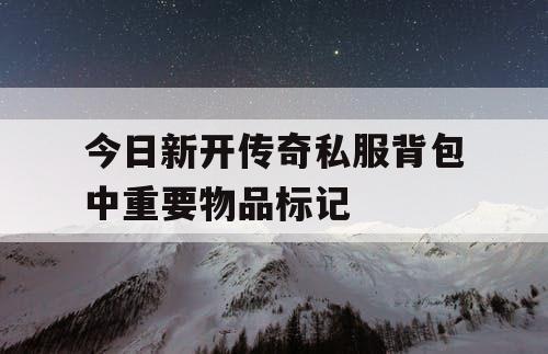 今日新开传奇私服背包中重要物品标记