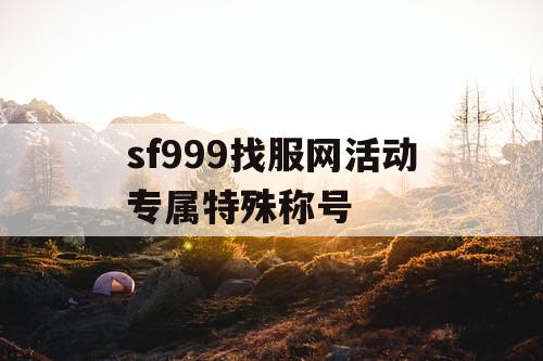 sf999找服网活动专属特殊称号
