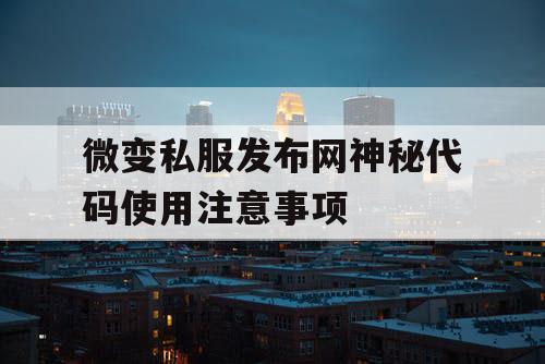 微变私服发布网神秘代码使用注意事项