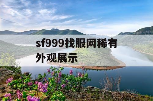 sf999找服网稀有外观展示