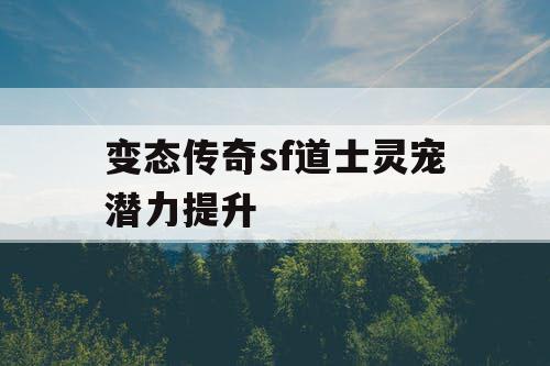 变态传奇sf道士灵宠潜力提升
