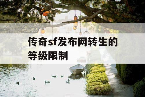 传奇sf发布网转生的等级限制