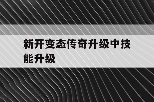 新开变态传奇升级中技能升级