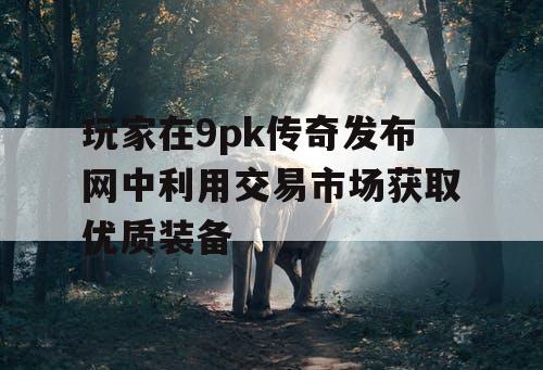 玩家在9pk传奇发布网中利用交易市场获取优质装备