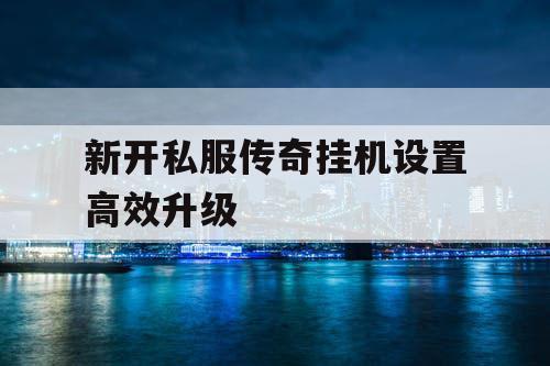 新开私服传奇挂机设置高效升级