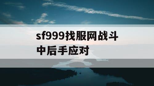 sf999找服网战斗中后手应对