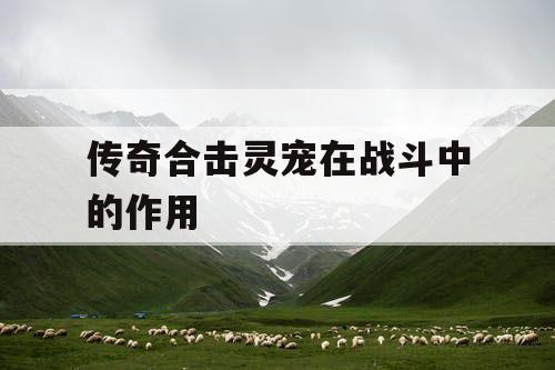 传奇合击灵宠在战斗中的作用