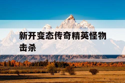 新开变态传奇精英怪物击杀