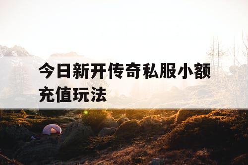 今日新开传奇私服小额充值玩法